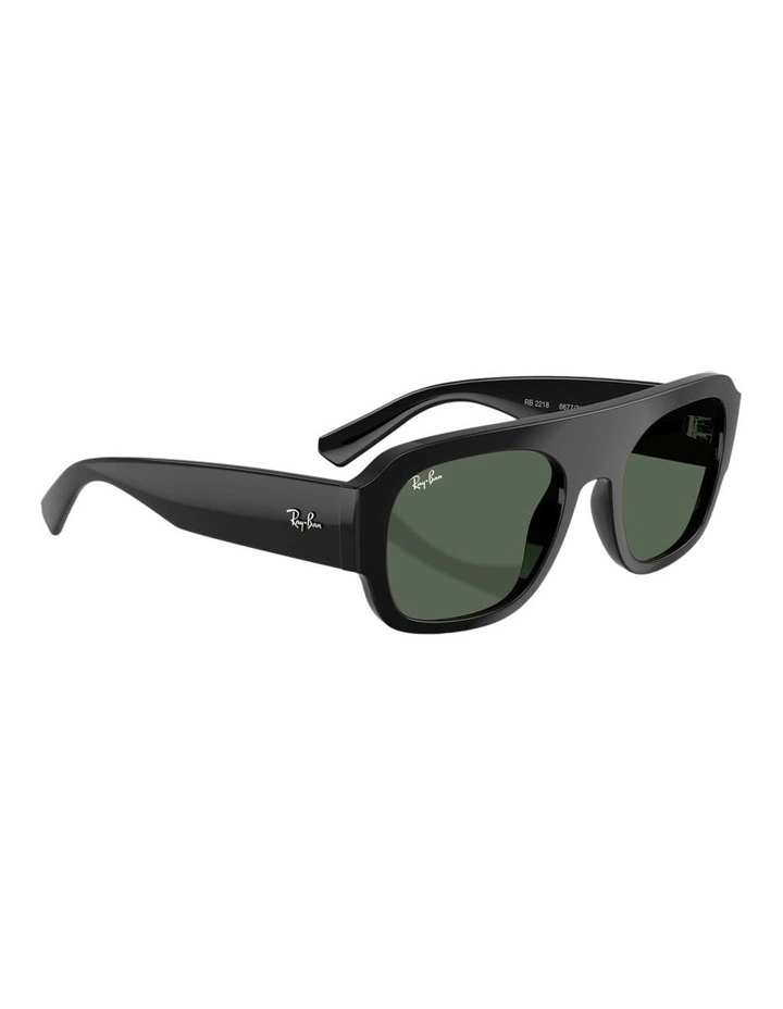 Molded Acetate Sunglasses in Black image 5
