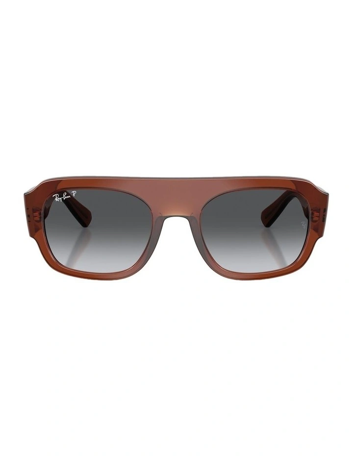 Molded Acetate Polarised Sunglasses in Brown image 1