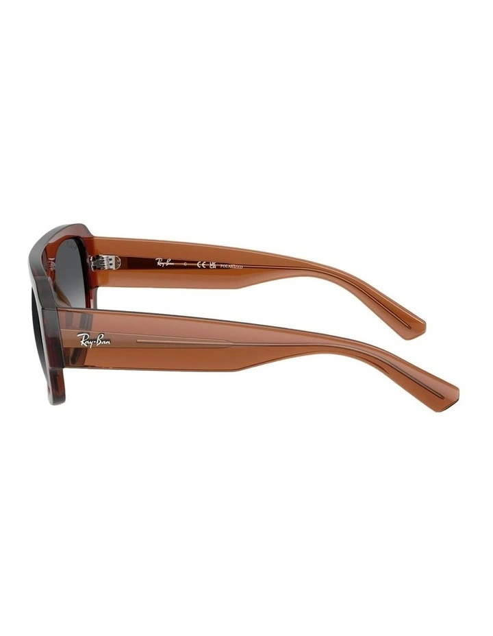Molded Acetate Polarised Sunglasses in Brown image 2