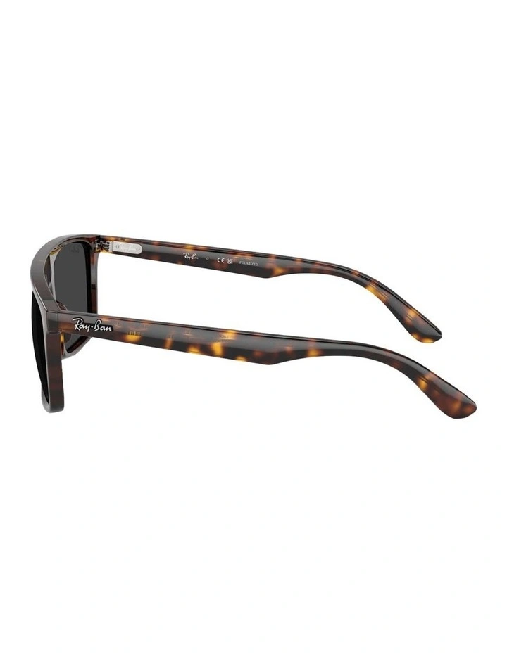 Propionate Polarised Sunglasses in Tortoise image 3