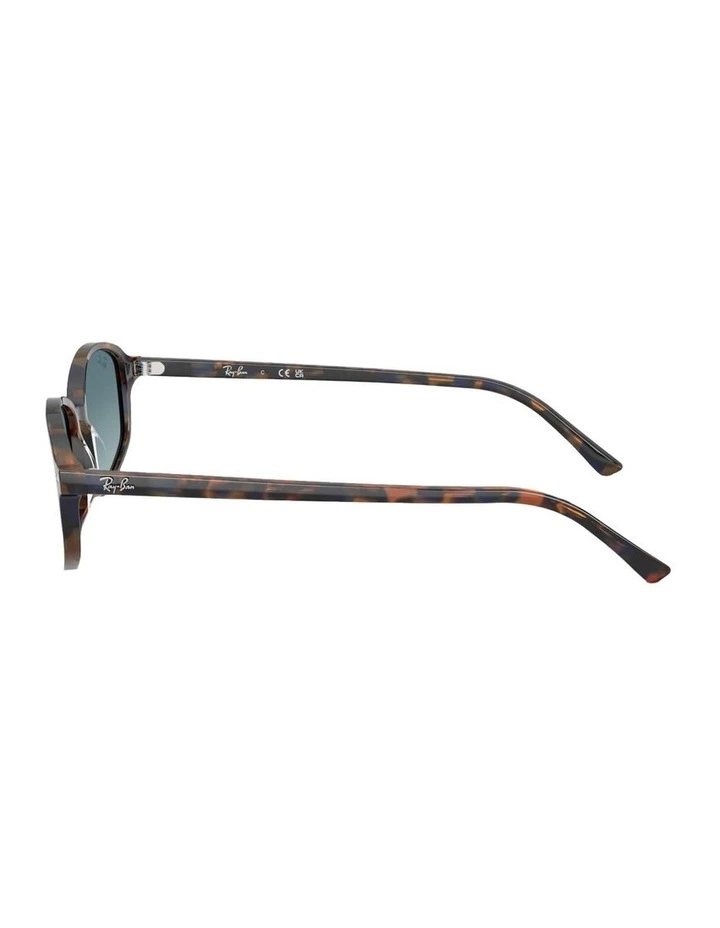 Sam Acetate Sunglasses in Tortoise image 2