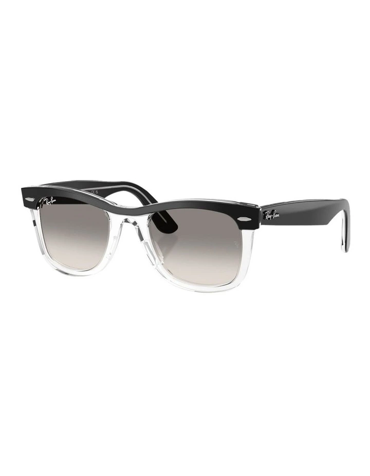 Wayfarer Street Neat Acetate Sunglasses in Black image 1