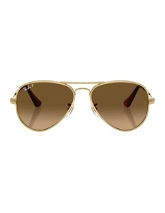 Aviator Max Metal Polarised Sunglasses in Gold