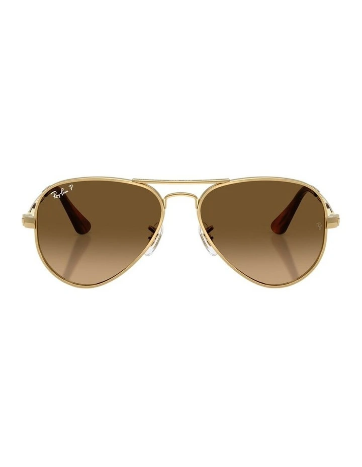 Aviator Max Metal Polarised Sunglasses in Gold image 1