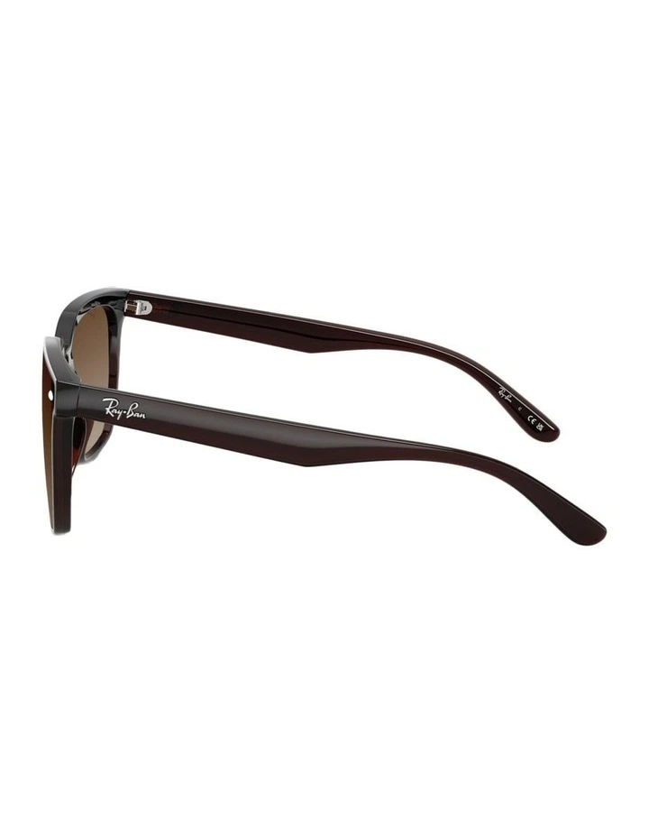 Nylon Sunglasses in Brown image 3