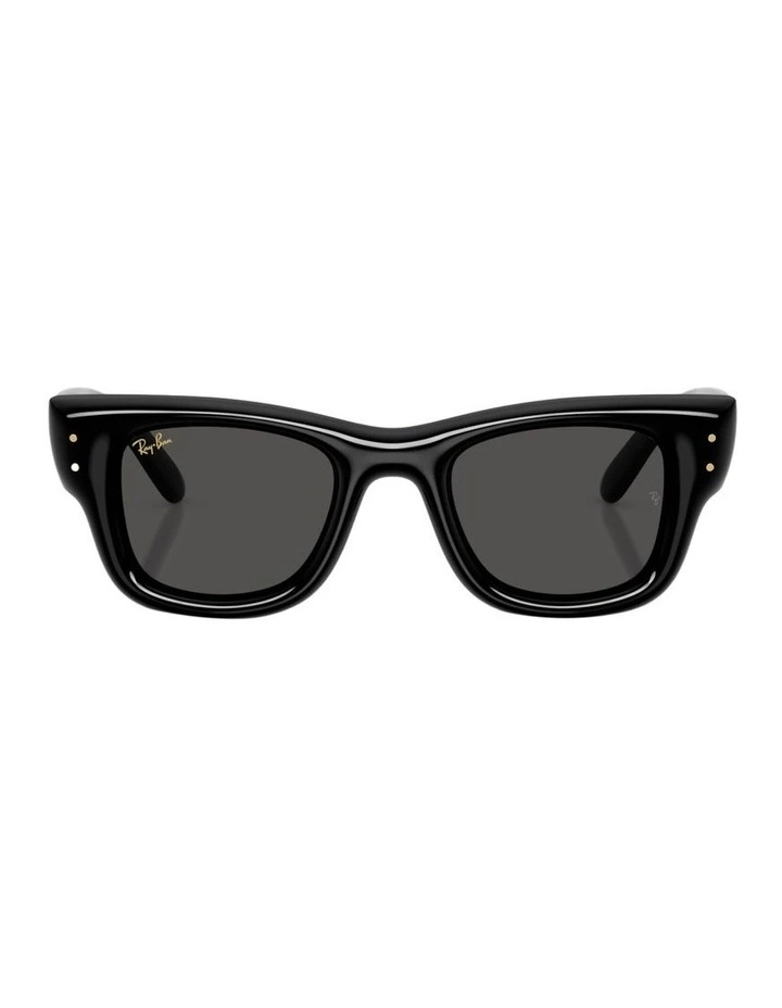 Wayfarer Puffer Nylon Sunglasses in Black image 1