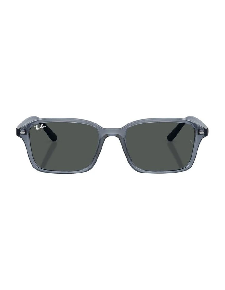 Nylon Sunglasses RB9131S in Blue image 1