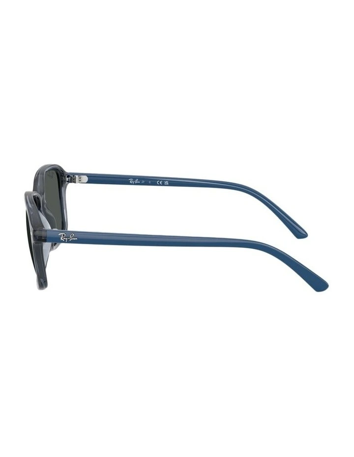 Nylon Sunglasses RB9131S in Blue image 2