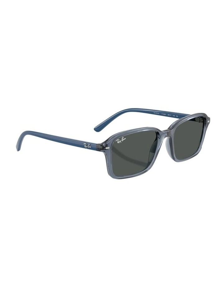 Nylon Sunglasses RB9131S in Blue image 4