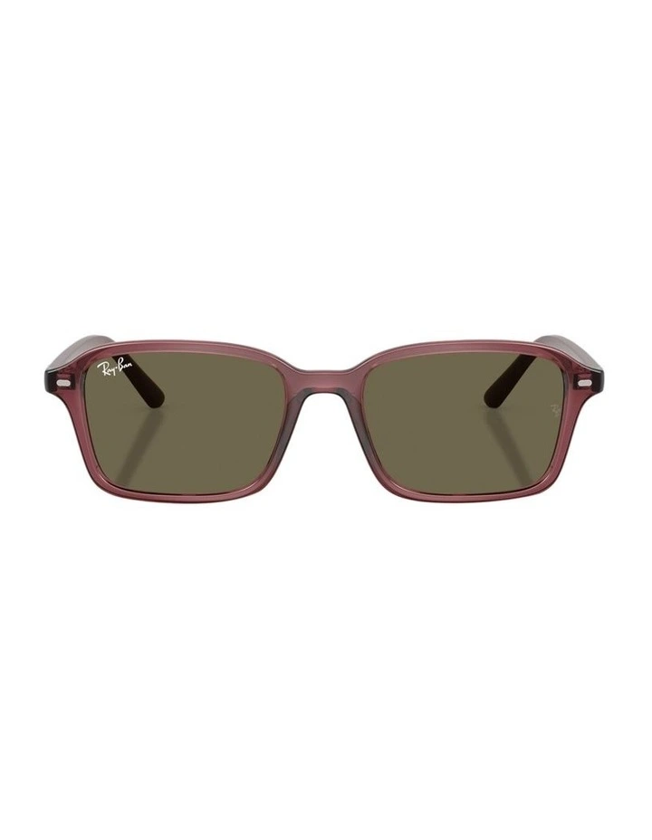 Nylon Sunglasses RB9131S in Violet image 1