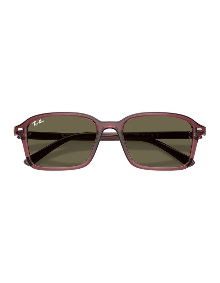 Nylon Sunglasses RB9131S in Violet image 3