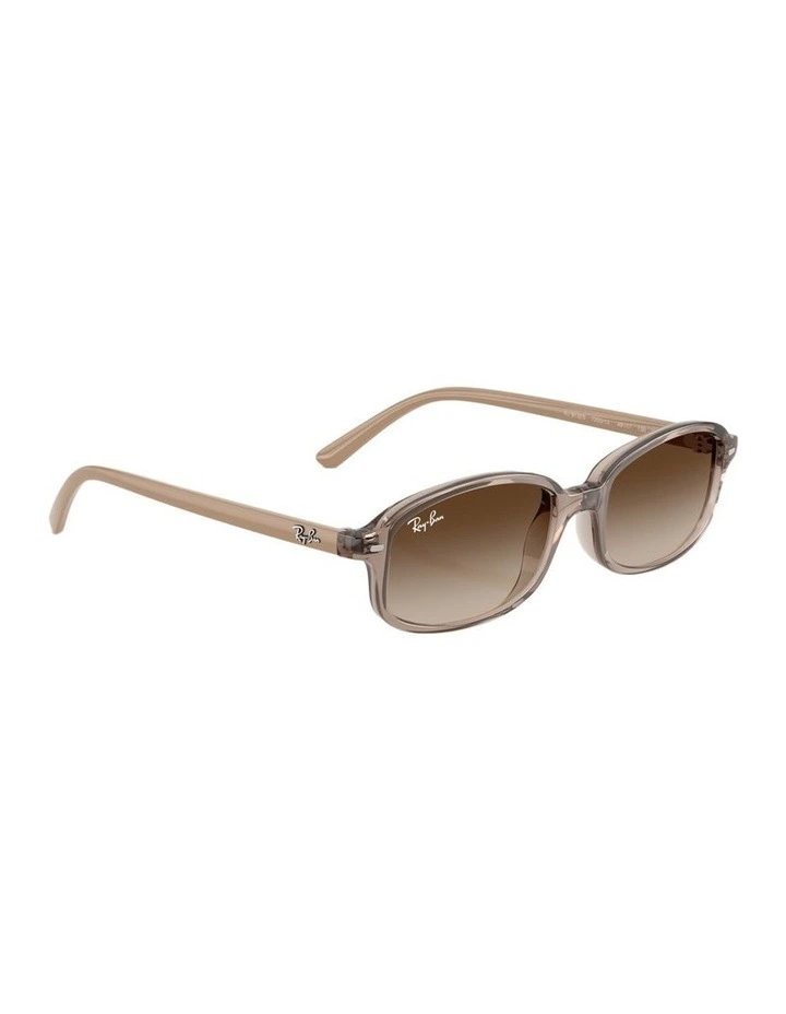 Nylon Sunglasses RB9132S in Beige image 4