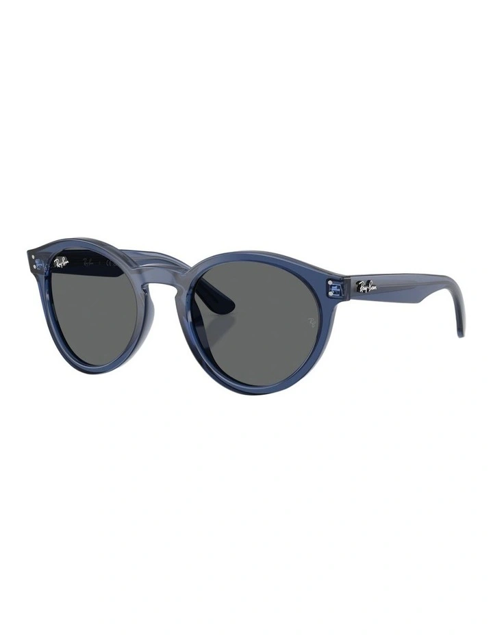 Reverse Molded Acetate Sunglasses in Blue image 1
