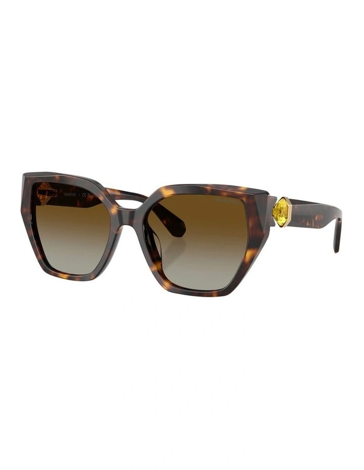 Acetate Polarised Sunglasses in Tortoise image 1