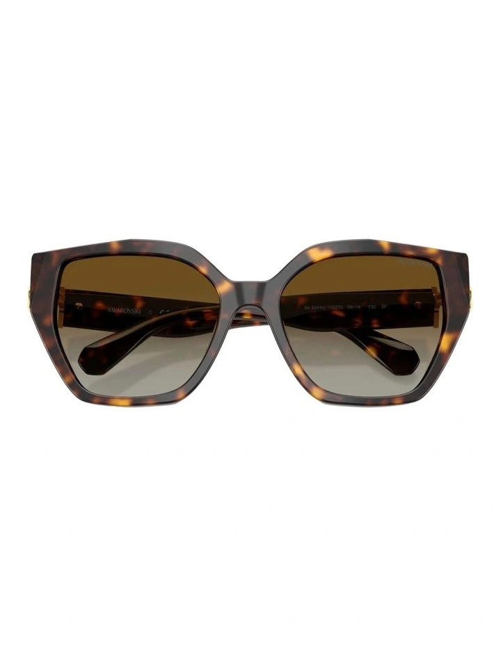 Acetate Polarised Sunglasses in Tortoise image 4