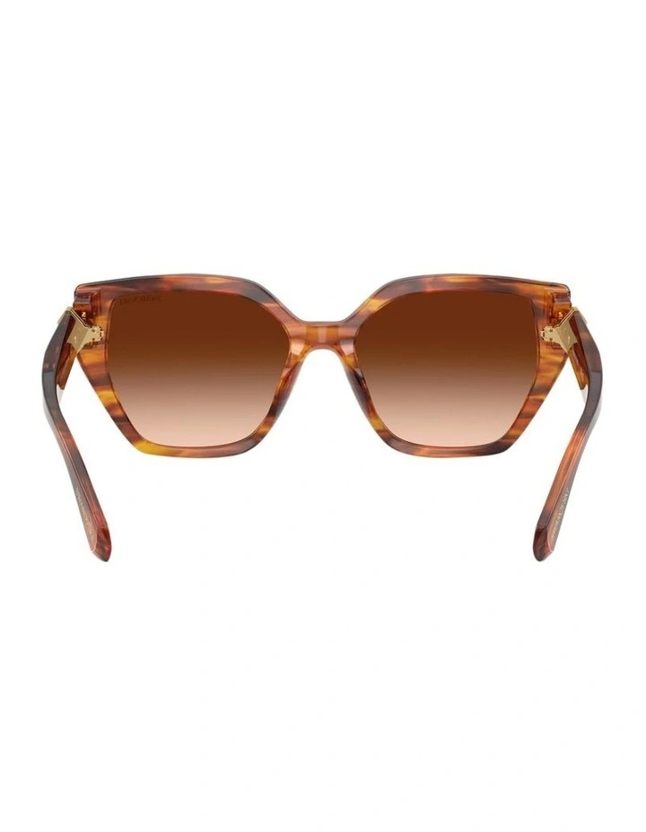 Acetate Sunglasses in Tortoise image 2
