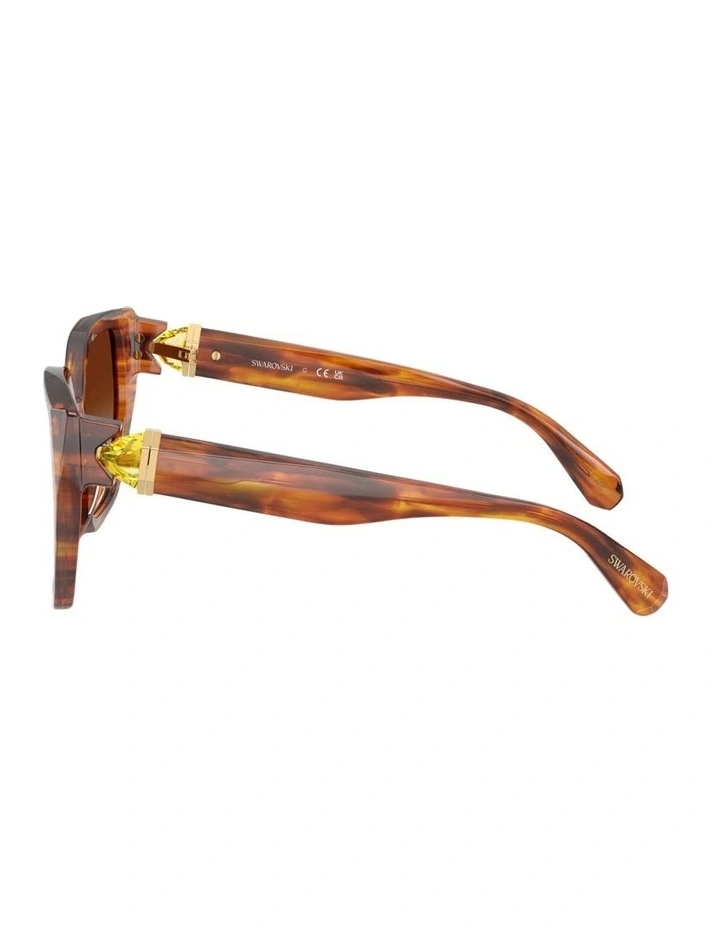 Acetate Sunglasses in Tortoise image 3