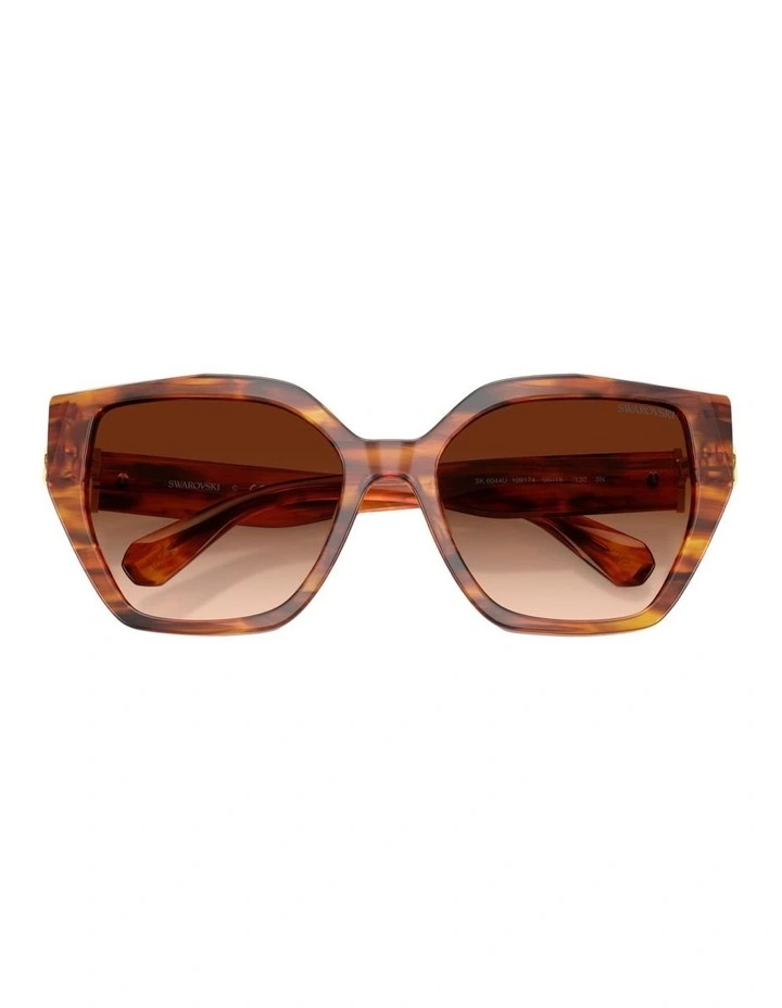 Acetate Sunglasses in Tortoise image 4