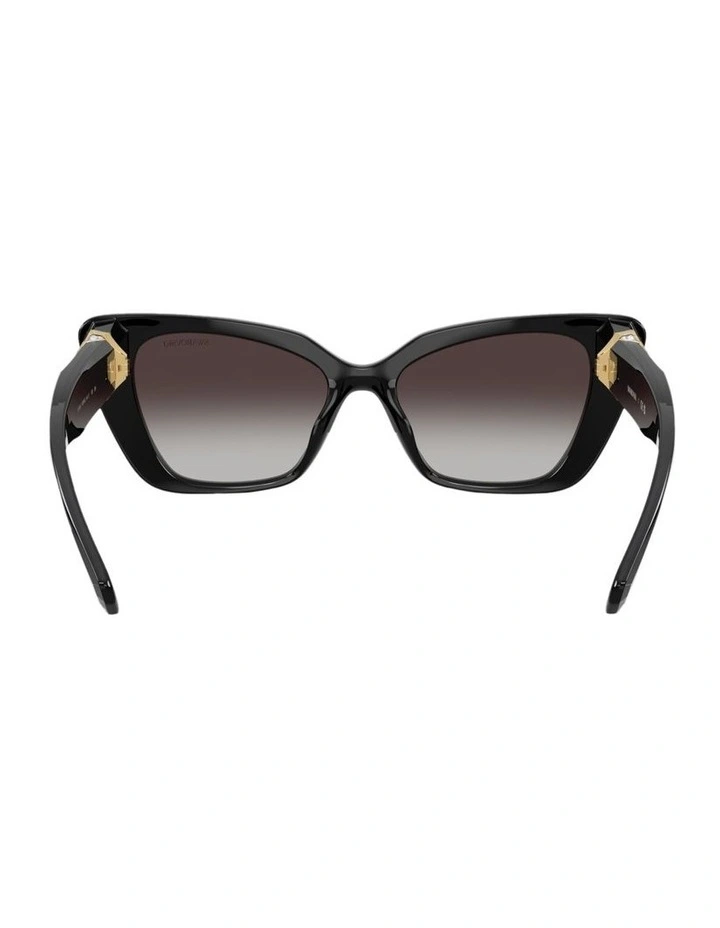 Injected Sunglasses in Black image 3