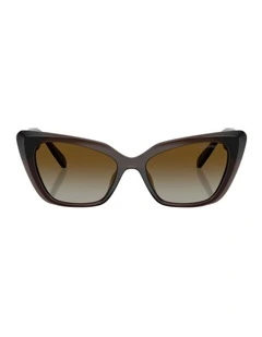 Injected Polarised Sunglasses in Brown