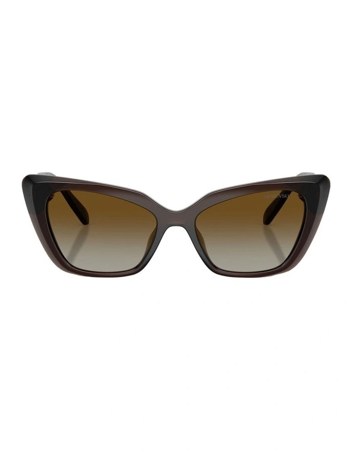 Injected Polarised Sunglasses in Brown image 1