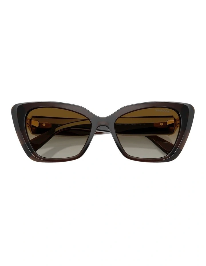 Injected Polarised Sunglasses in Brown image 3