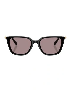 Acetate Sunglasses in Black