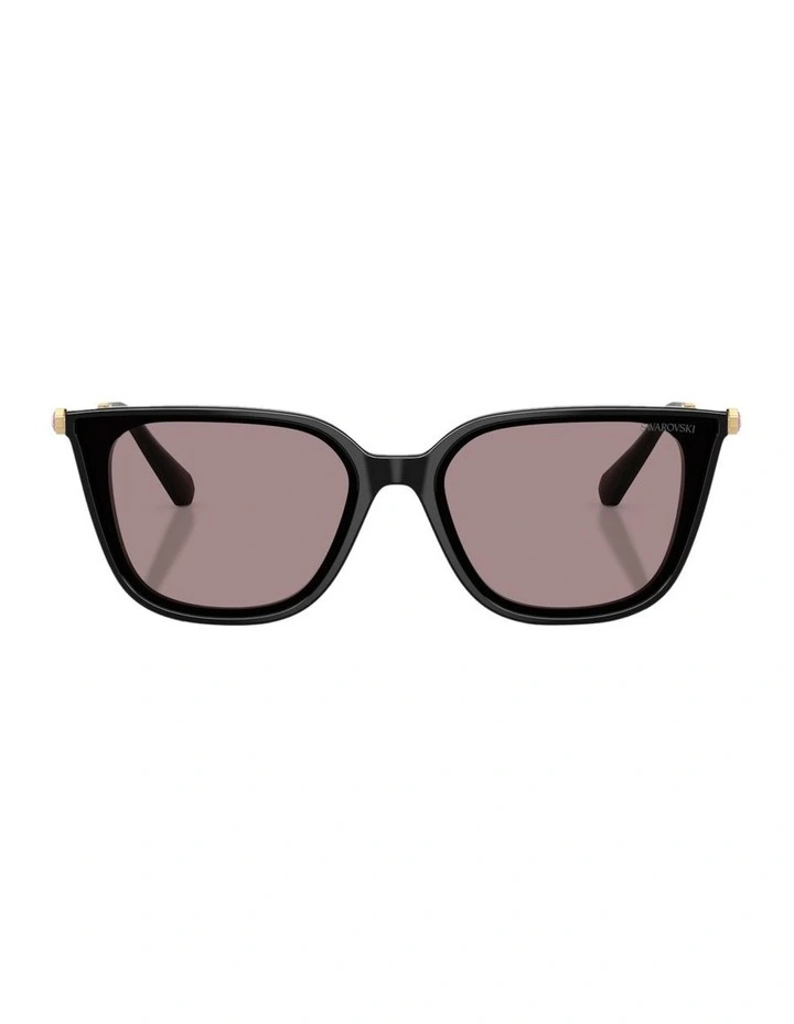 Acetate Sunglasses in Black image 1