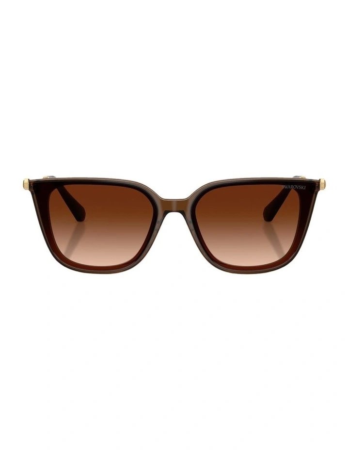 Acetate Sunglasses in Brown image 1