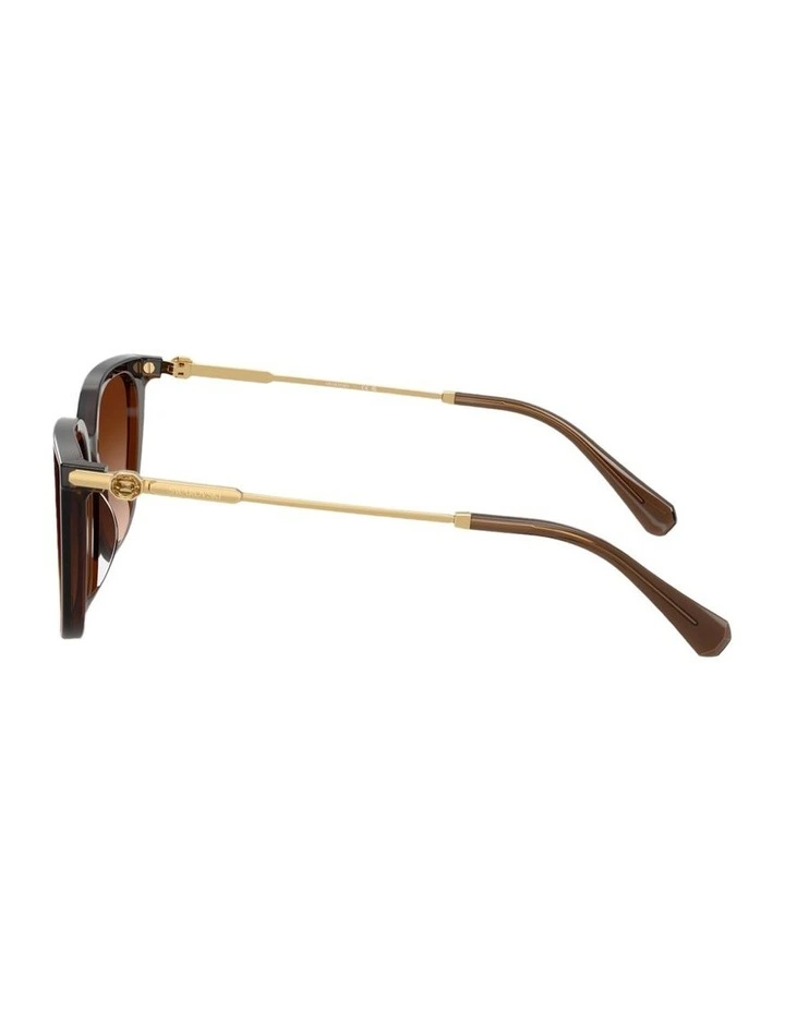 Acetate Sunglasses in Brown image 2