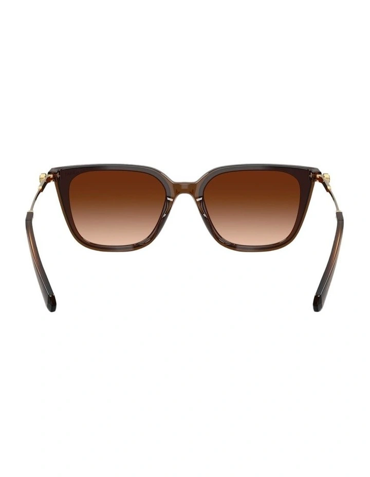 Acetate Sunglasses in Brown image 3
