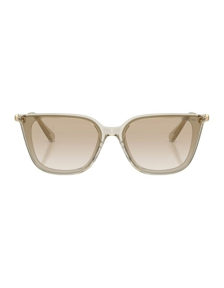 Acetate Sunglasses in Beige image 1