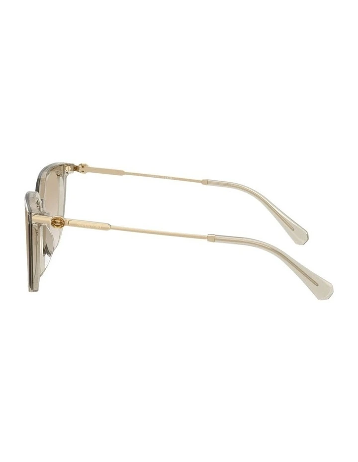 Acetate Sunglasses in Beige image 2