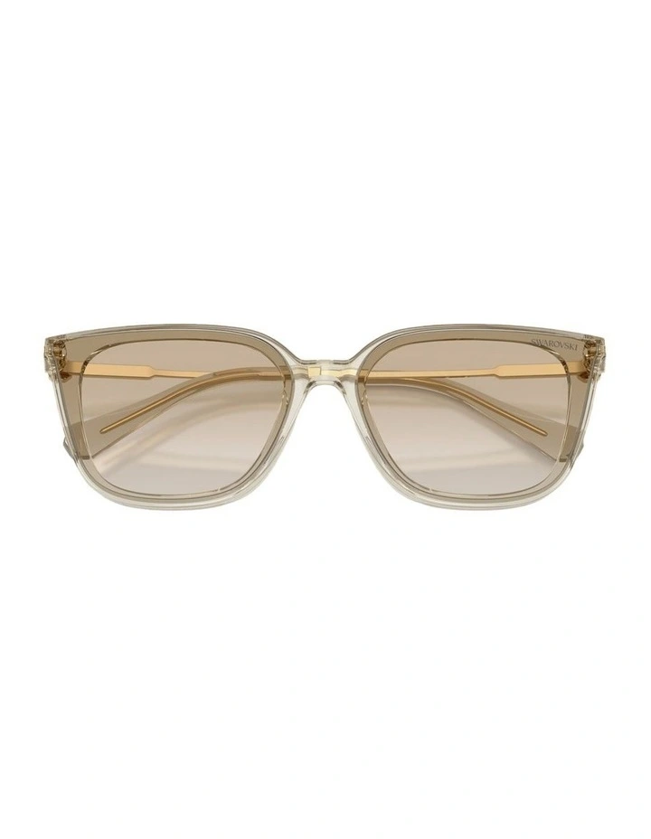 Acetate Sunglasses in Beige image 3