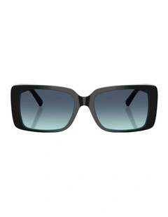 Acetate Sunglasses in Black