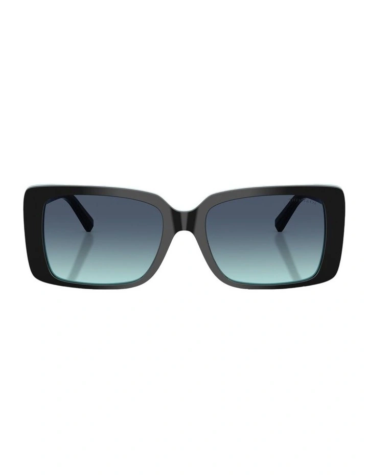Acetate Sunglasses in Black image 1