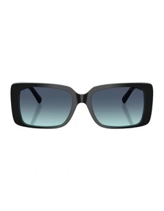 Acetate Sunglasses in Black