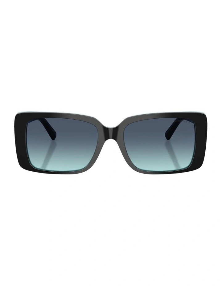 Acetate Sunglasses in Black image 1