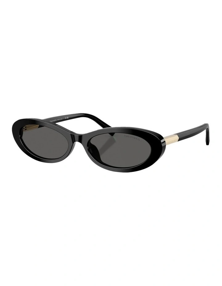 Acetate Sunglasses in Black image 1