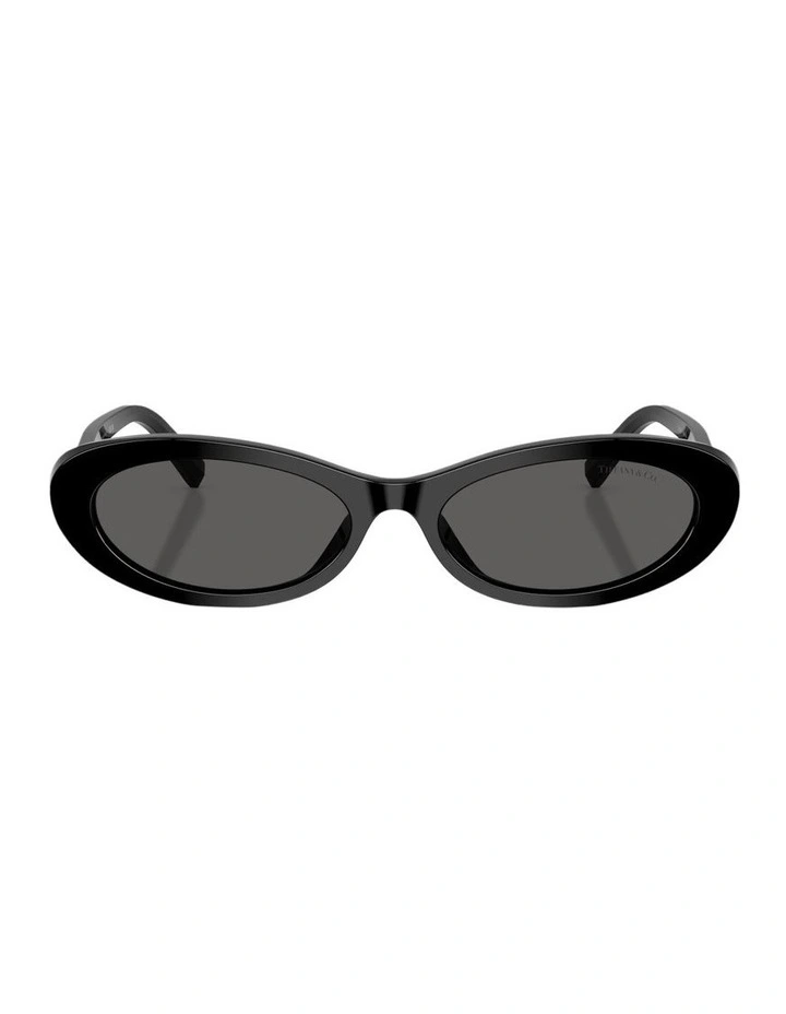 Acetate Sunglasses in Black image 2