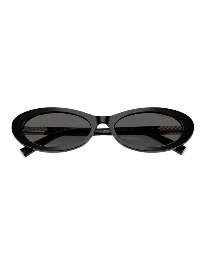 Acetate Sunglasses in Black image 4