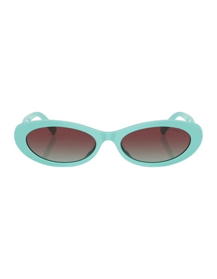 Acetate Sunglasses in Blue image 1