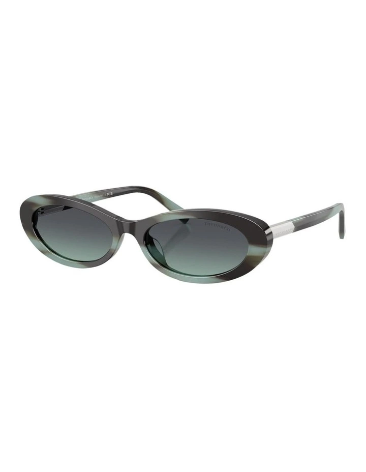 Acetate Sunglasses in Tortoise image 1