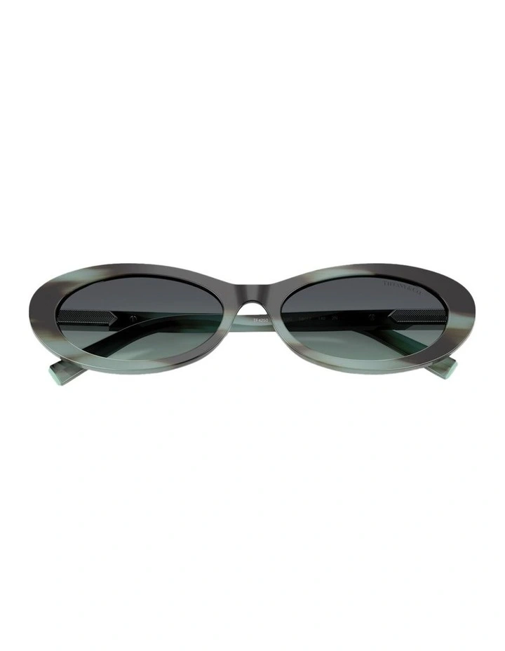 Acetate Sunglasses in Tortoise image 4