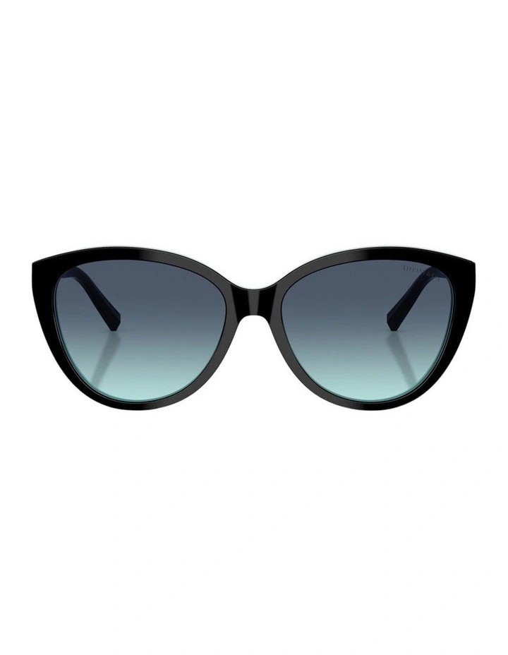 Acetate Sunglasses in Black image 2