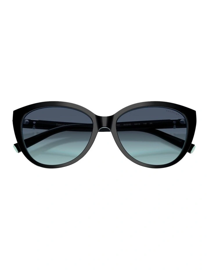 Acetate Sunglasses in Black image 4
