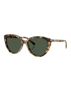 Acetate Polarised Sunglasses in Tortoise