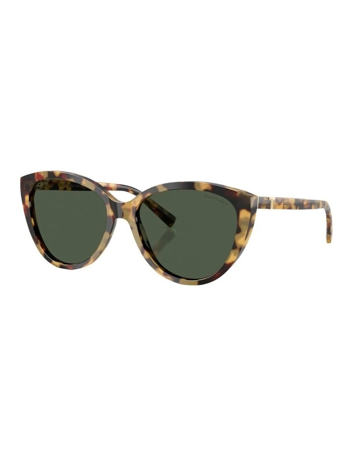 Acetate Polarised Sunglasses in Tortoise image 1