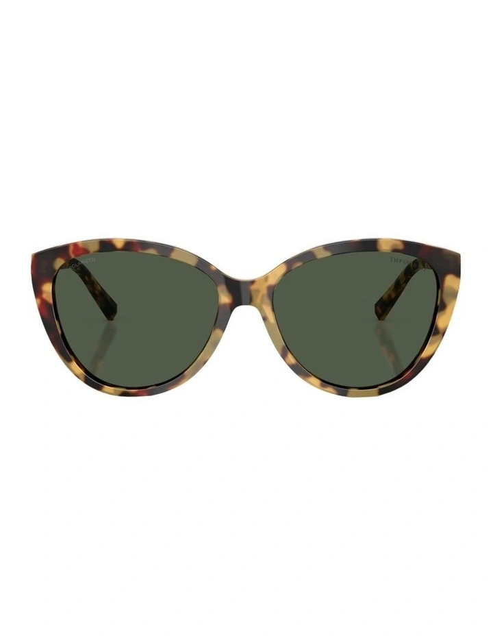 Acetate Polarised Sunglasses in Tortoise image 2