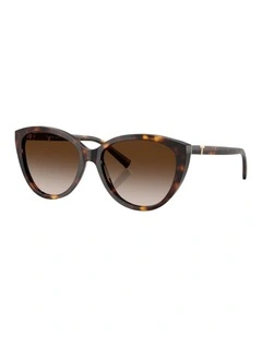 Acetate Sunglasses in Tortoise